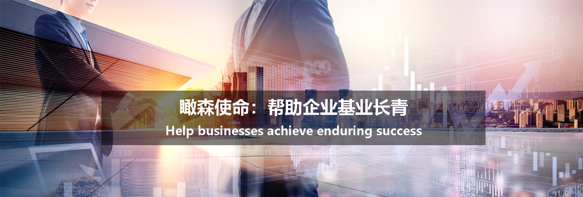 上海瞰森战略咨询